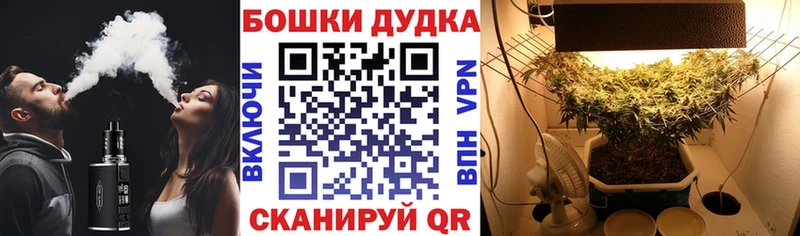 KRAKEN как зайти Богданович Каннабис THC 21%